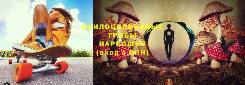 Псилоцибиновые грибы Psilocybine cubensis  Харовск 